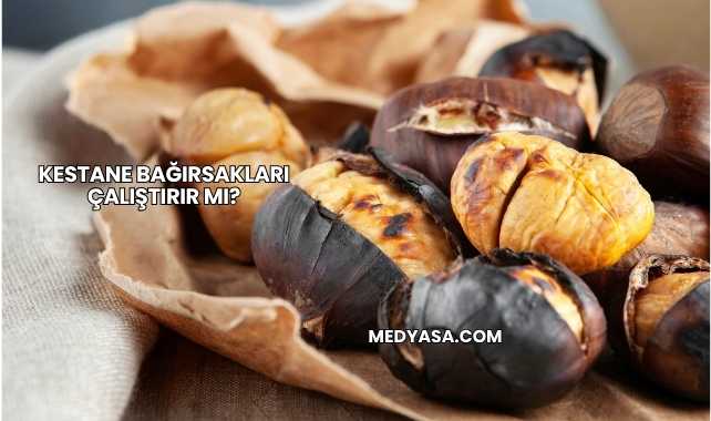 Kestane Bağırsakları Çalıştırır mı?