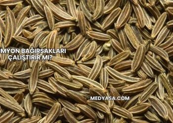 Kimyon Bağırsakları Çalıştırır mı?