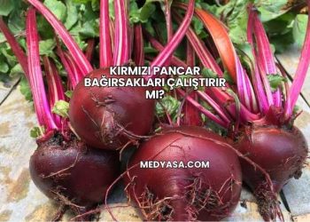 Kırmızı Pancar Bağırsakları Çalıştırır mı?