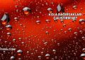 Kola Bağırsakları Çalıştırır mı?