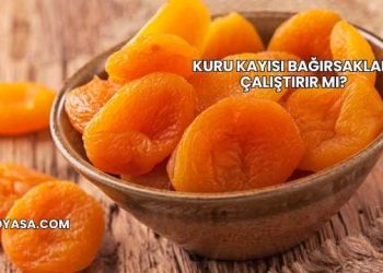 Kuru Kayısı Bağırsakları Çalıştırır mı?