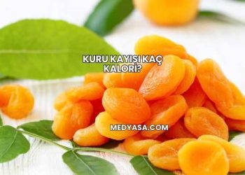 Kuru Kayısı Kaç Kalori?