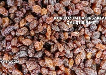 Kuru Üzüm Bağırsakları Çalıştırır mı?