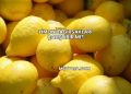 Limon Bağırsakları Çalıştırır mı?