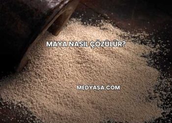 Maya Nasıl Çözülür?