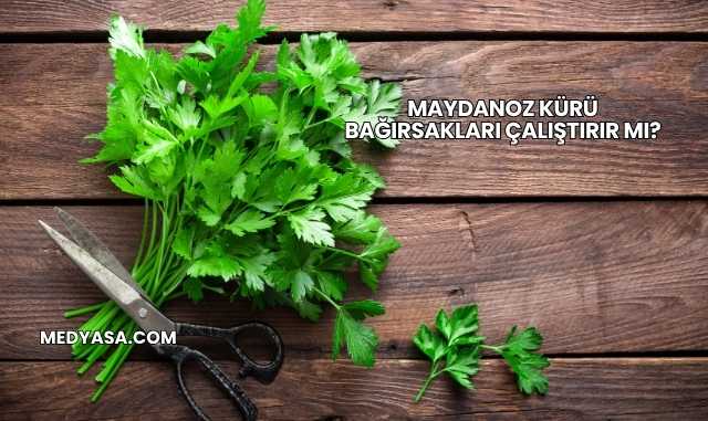 Maydanoz Kürü Bağırsakları Çalıştırır mı?