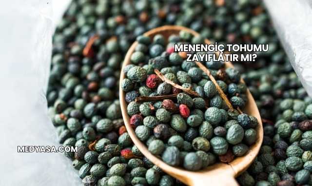 Menengiç Tohumu Zayıflatır mı?