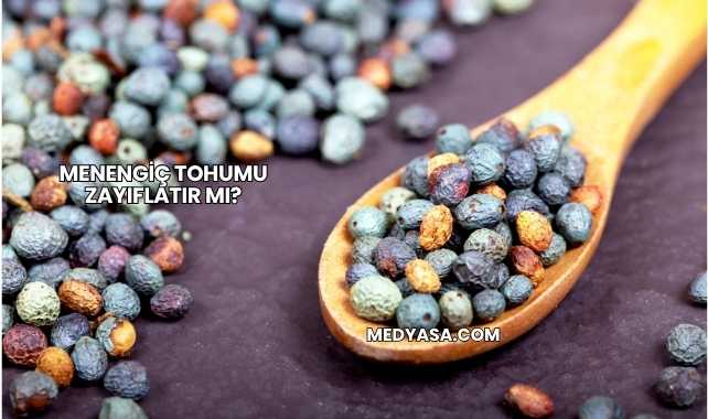 Menengiç Tohumu Zayıflatır mı?