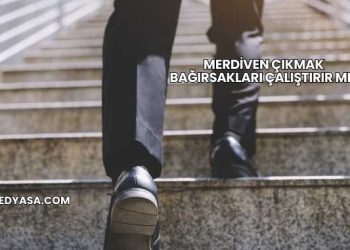 Merdiven Çıkmak Bağırsakları Çalıştırır mı?