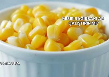 Mısır Bağırsakları Çalıştırır mı?