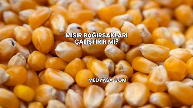 Mısır Bağırsakları Çalıştırır mı?