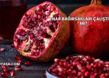 Nar Bağırsakları Çalıştırır mı?