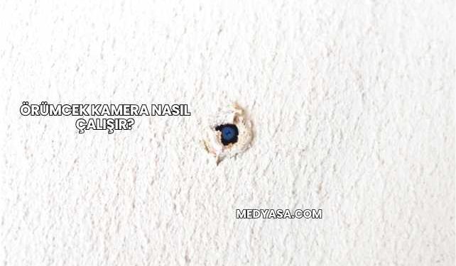 Örümcek Kamera Nasıl Çalışır?