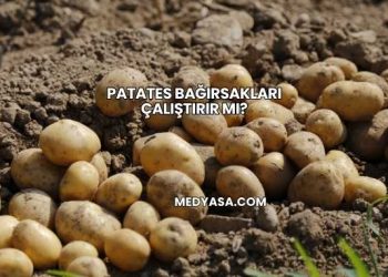 Patates Bağırsakları Çalıştırır mı?