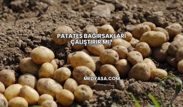 Patates Bağırsakları Çalıştırır mı?