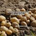 Patates Bağırsakları Çalıştırır mı?