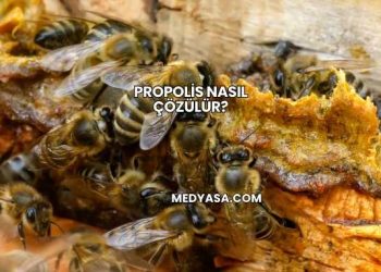 Propolis Nasıl Çözülür?