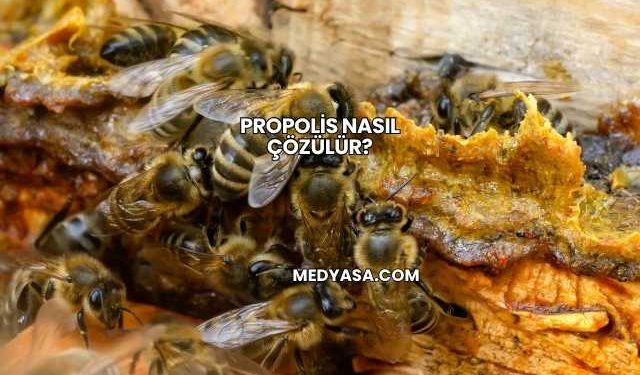 Propolis Nasıl Çözülür?