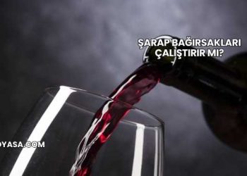 Şarap Bağırsakları Çalıştırır mı?