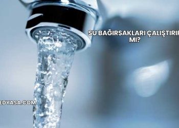 Su Bağırsakları Çalıştırır mı?