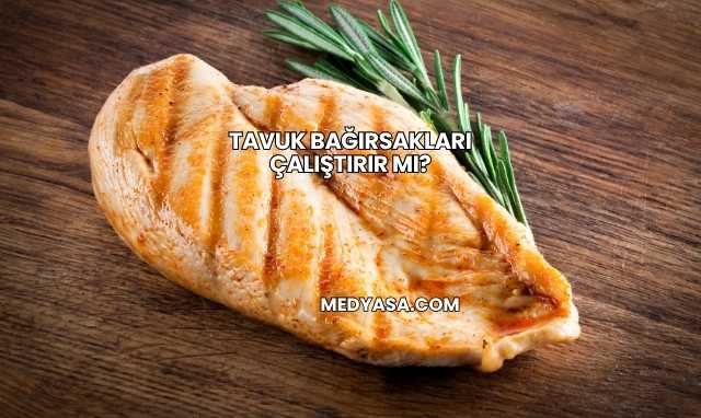 Tavuk Bağırsakları Çalıştırır mı?