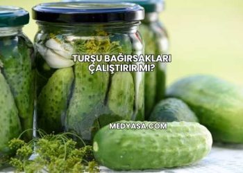 Turşu Bağırsakları Çalıştırır mı?