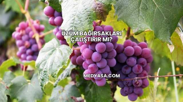 Üzüm Bağırsakları Çalıştırır mı?