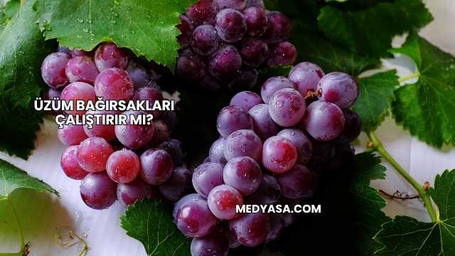 Üzüm Bağırsakları Çalıştırır mı?
