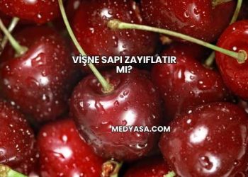 Vişne Sapı Zayıflatır mı?