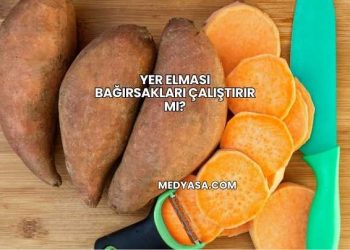 Yer Elması Bağırsakları Çalıştırır mı?