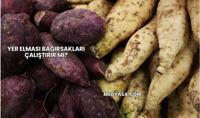 Yer Elması Bağırsakları Çalıştırır mı?