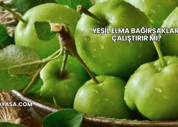Yeşil Elma Bağırsakları Çalıştırır mı?