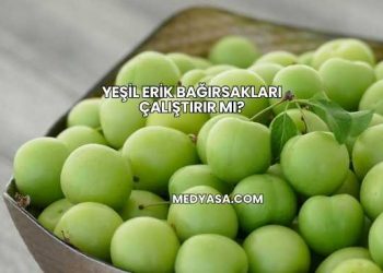 Yeşil Erik Bağırsakları Çalıştırır mı?