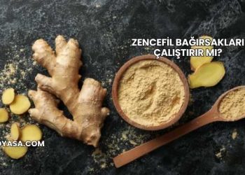 Zencefil Bağırsakları Çalıştırır mı?