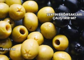 Zeytin Bağırsakları Çalıştırır mı?
