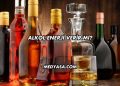 Alkol Enerji Verir mi?