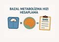 Bazal Metabolizma Hızı Hesaplama