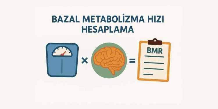 Bazal Metabolizma Hızı Hesaplama
