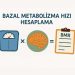 Bazal Metabolizma Hızı Hesaplama