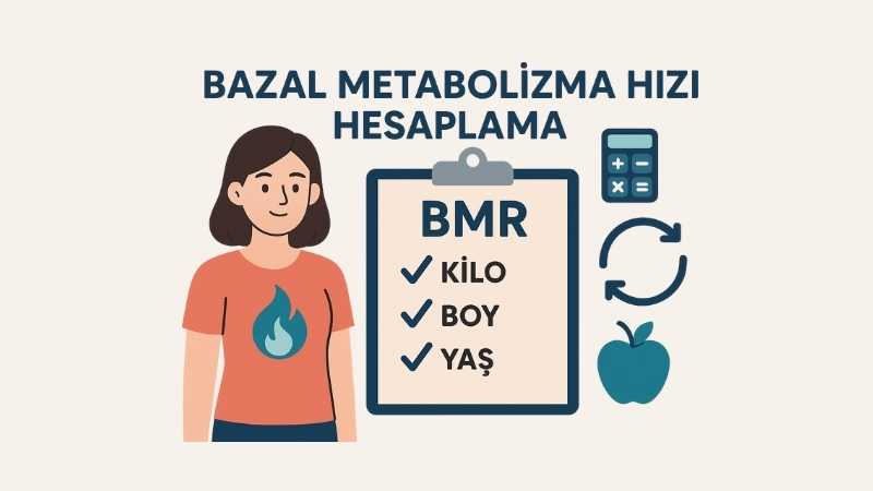 Bazal Metabolizma Hızı Hesaplama