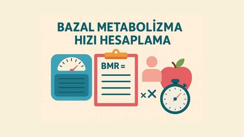 Bazal Metabolizma Hızı Hesaplama