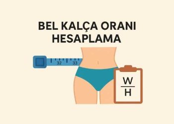 Bel Kalça Oranı Hesaplama