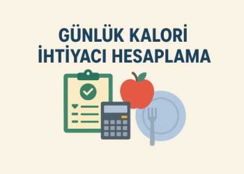 Günlük Kalori İhtiyacı Hesaplama
