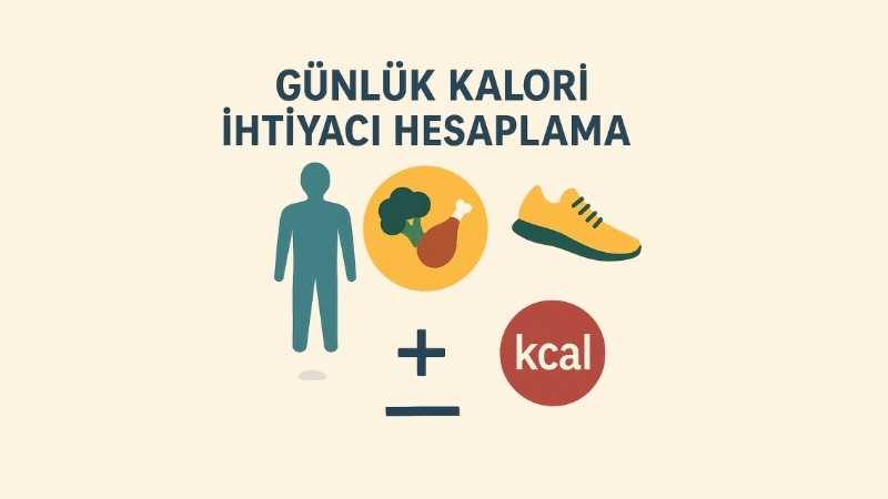 Günlük Kalori İhtiyacı Hesaplama