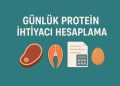 Günlük Protein İhtiyacı Hesaplama