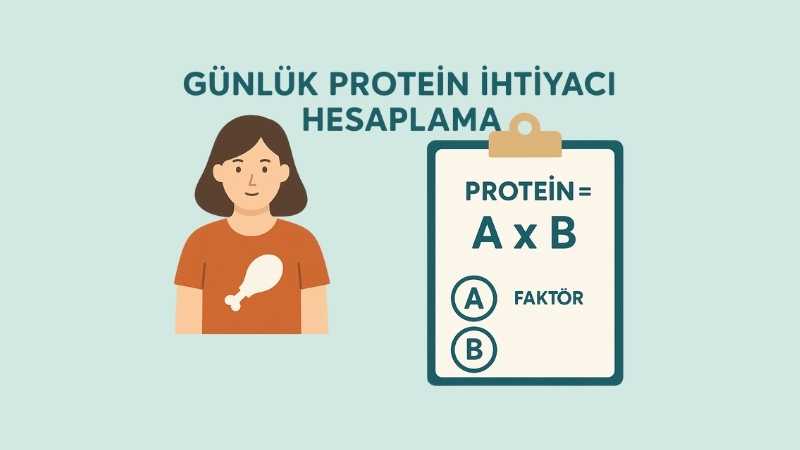 Günlük Protein İhtiyacı Hesaplama