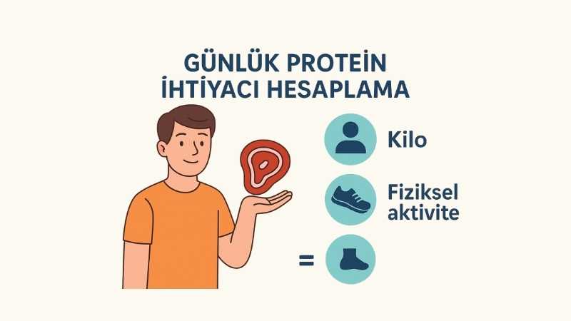 Günlük Protein İhtiyacı Hesaplama