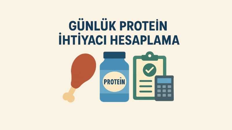 Günlük Protein İhtiyacı Hesaplama