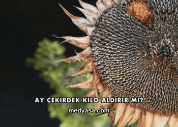 Ay Çekirdek Kilo Aldırır mı?