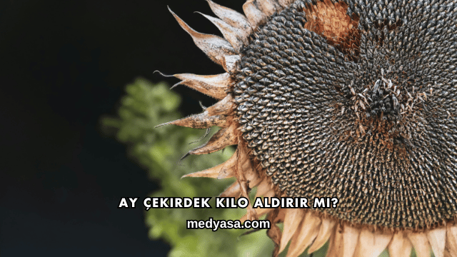 Ay Çekirdek Kilo Aldırır mı?